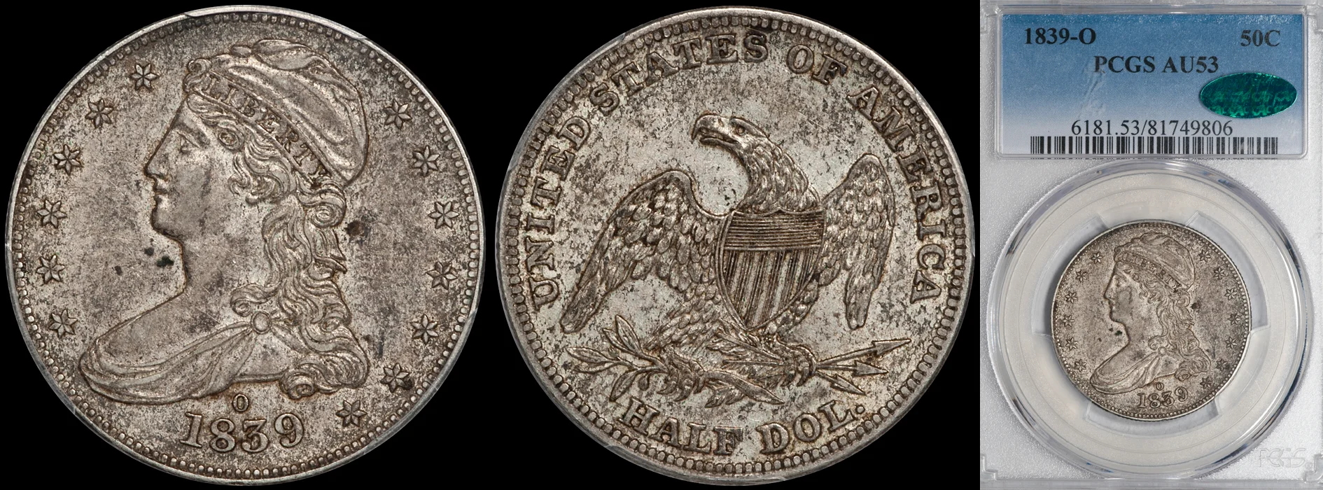1839O_50C_P53_CAC.jpg