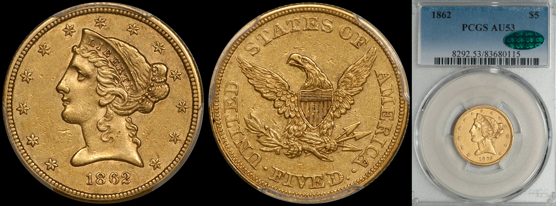1862_5_P53_CAC.jpg