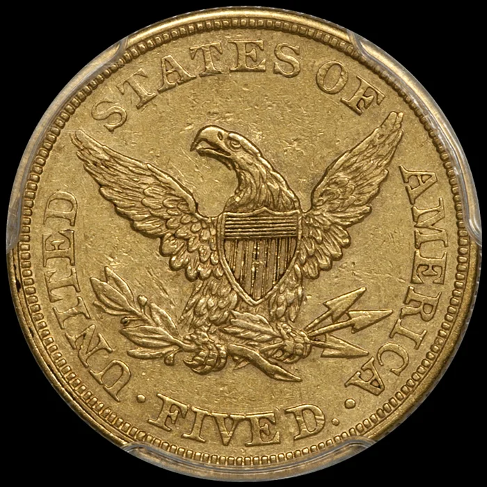 1862_5_P53_CAC_r.jpg