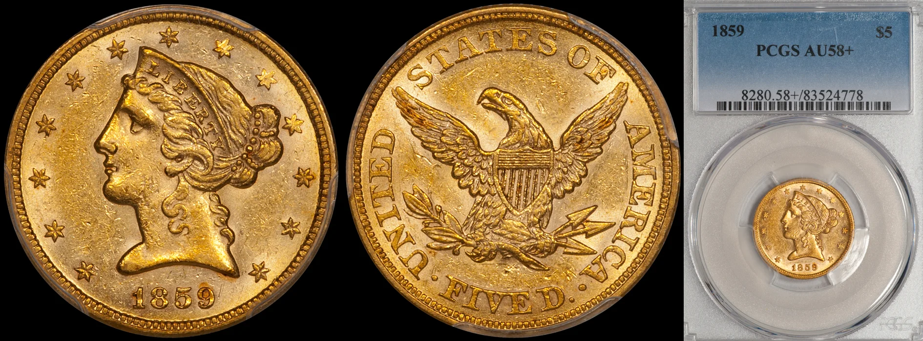 1859_5_P58PLUS.jpg