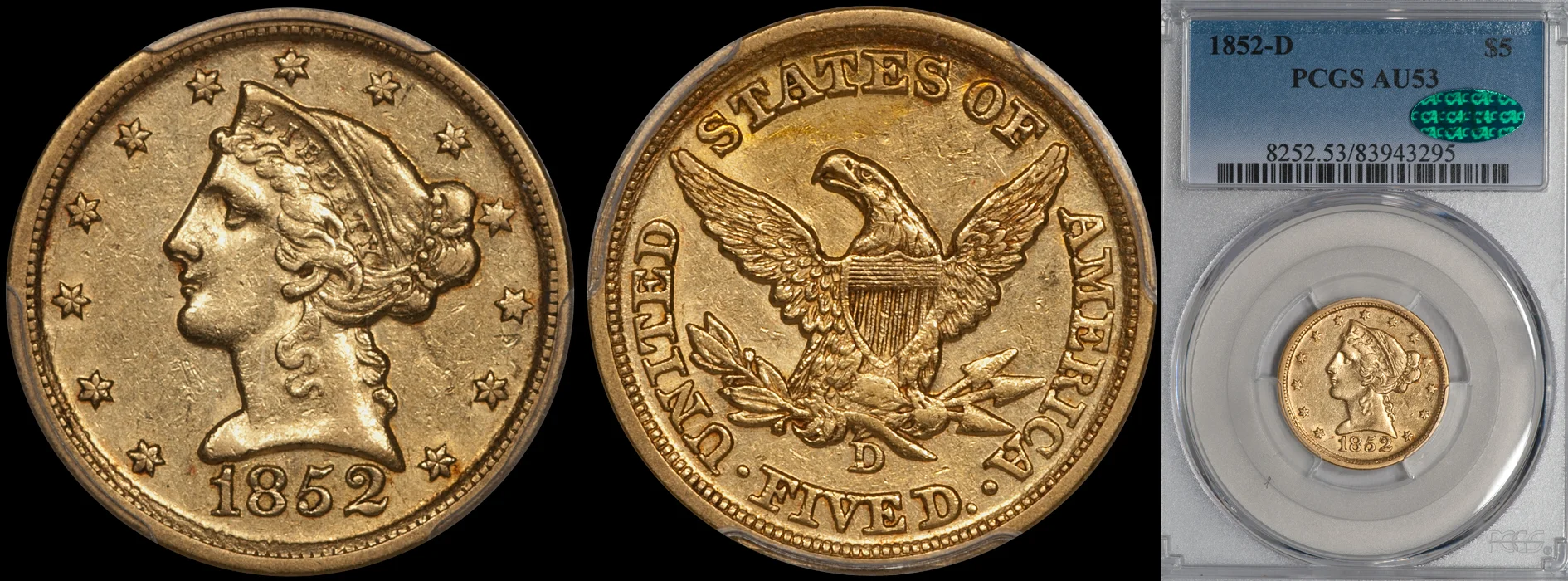 1852d-5-p53-cac.jpg