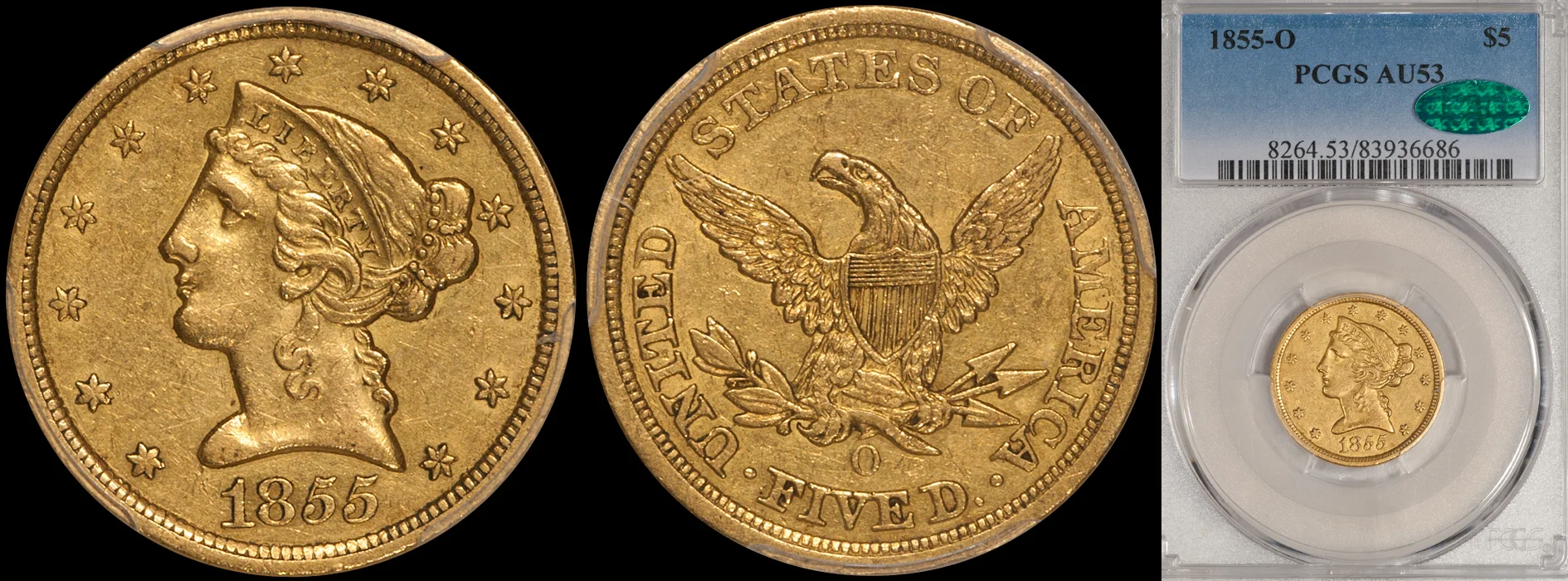 1855o-5-p53-cac.jpg