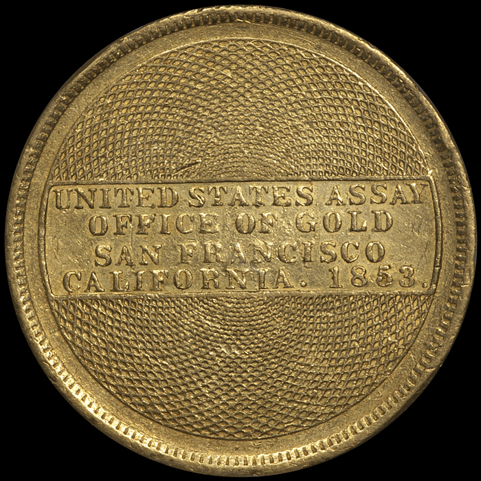 1853_20_assay900_P53_r.jpg