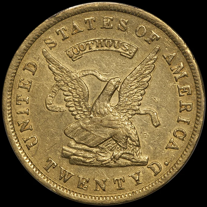 1853_20_assay900_P53_o.jpg