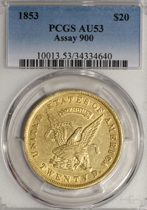 1853_20_assay900_P53_S.jpg