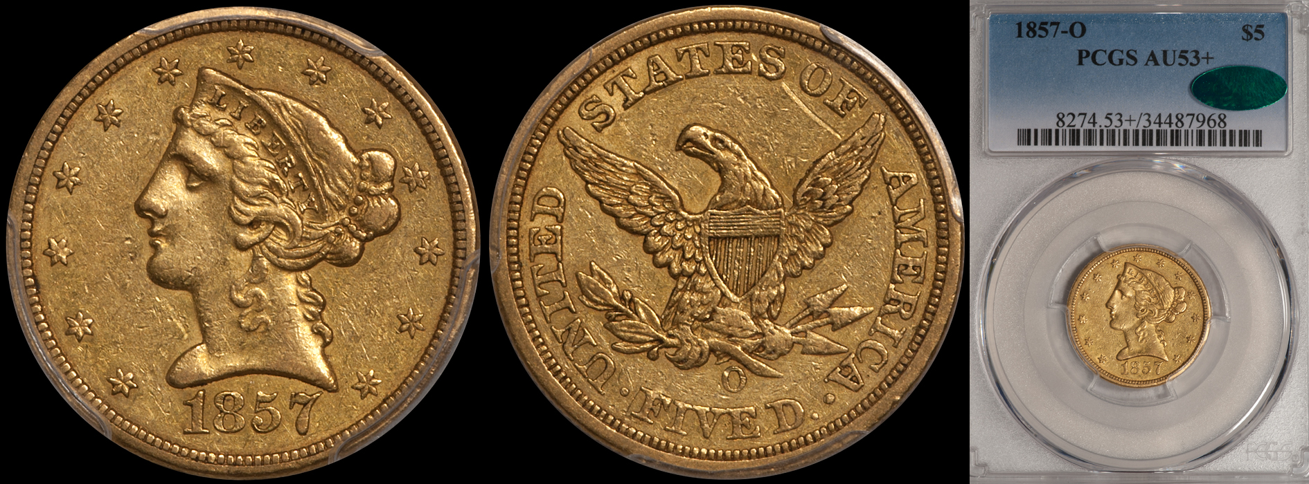 1857O_5_P53plus_CAC.jpg