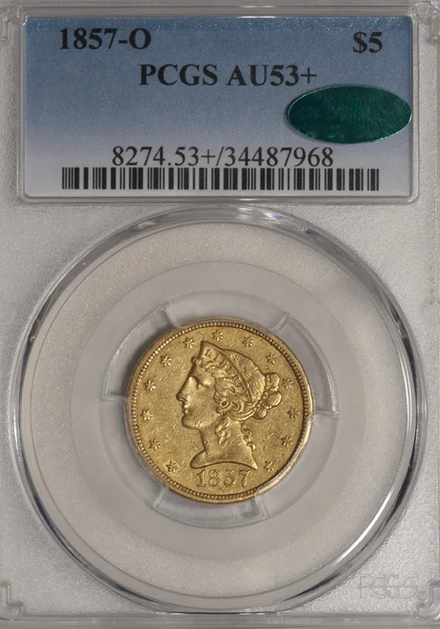 1857O_5_P53plus_CAC_S.jpg
