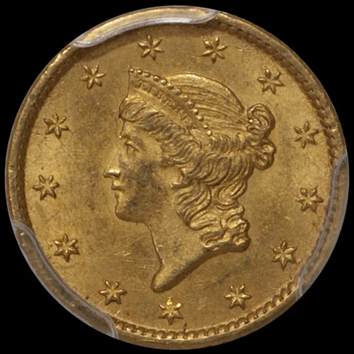 1850o_1_p63plus_CAC_o.jpg