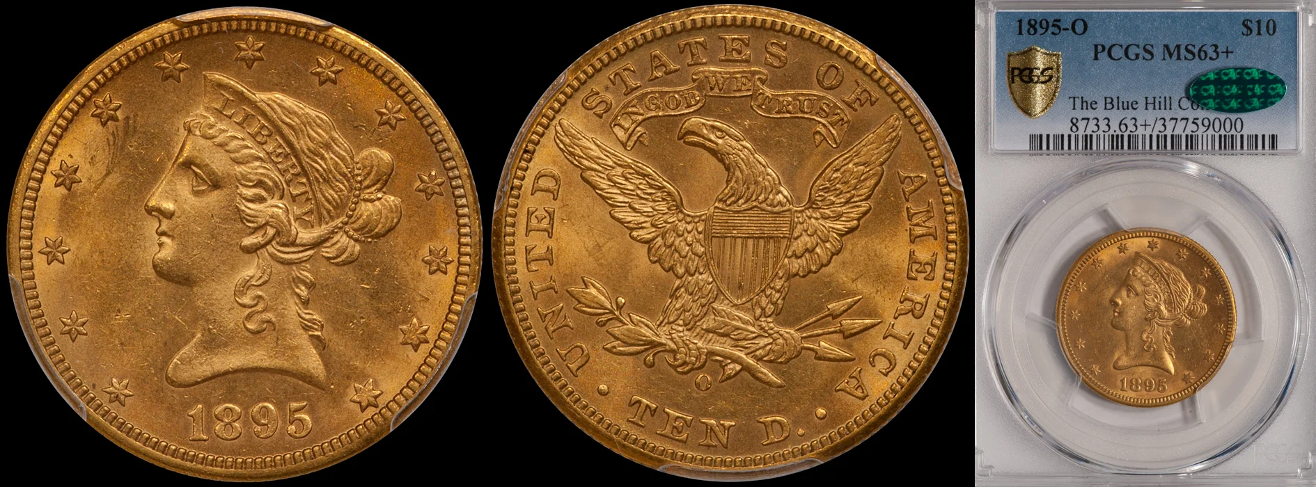 1895o_10_P63plus_cac.jpg