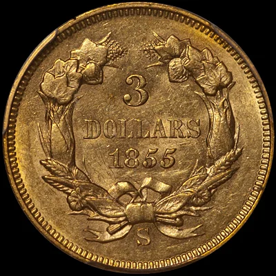 1855S_3_P61 copy.jpg