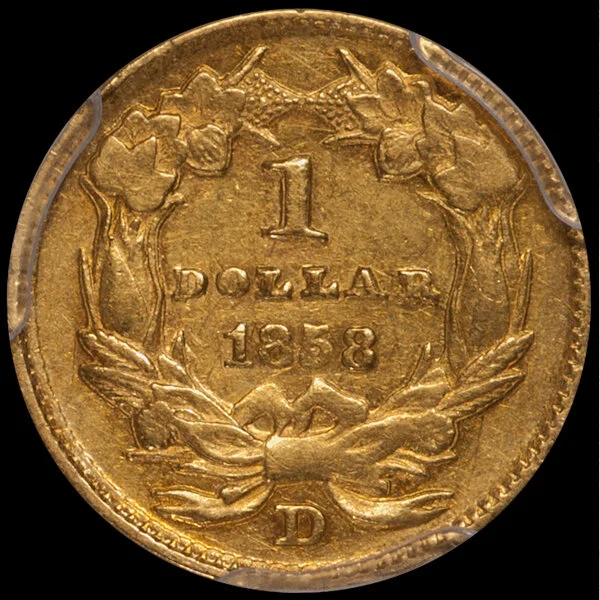 1858d_1_p53_cac_r.jpg