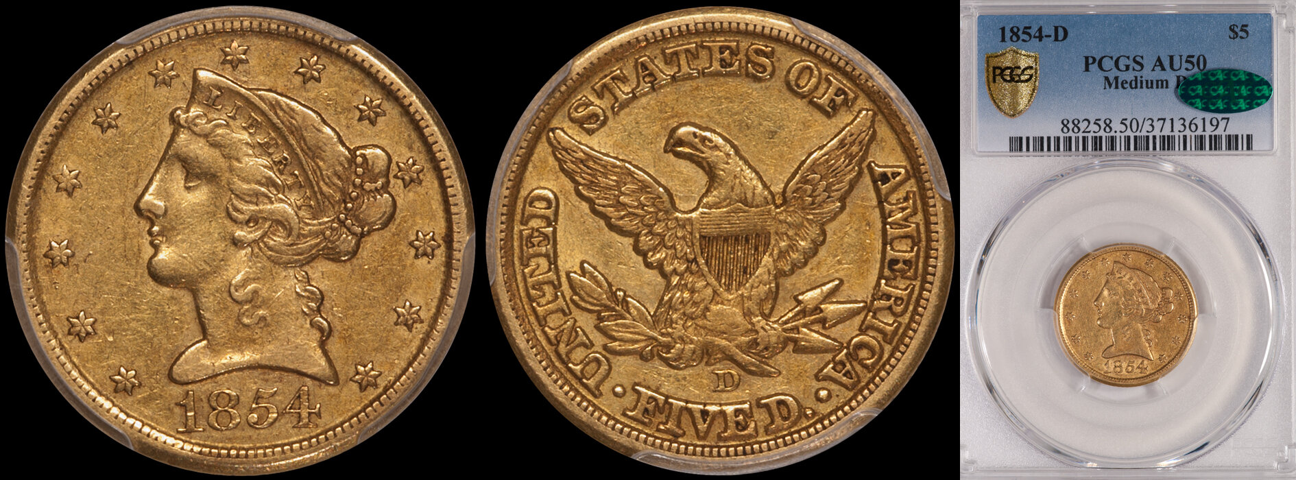 1854d_5_med-d_p50_cac.jpg