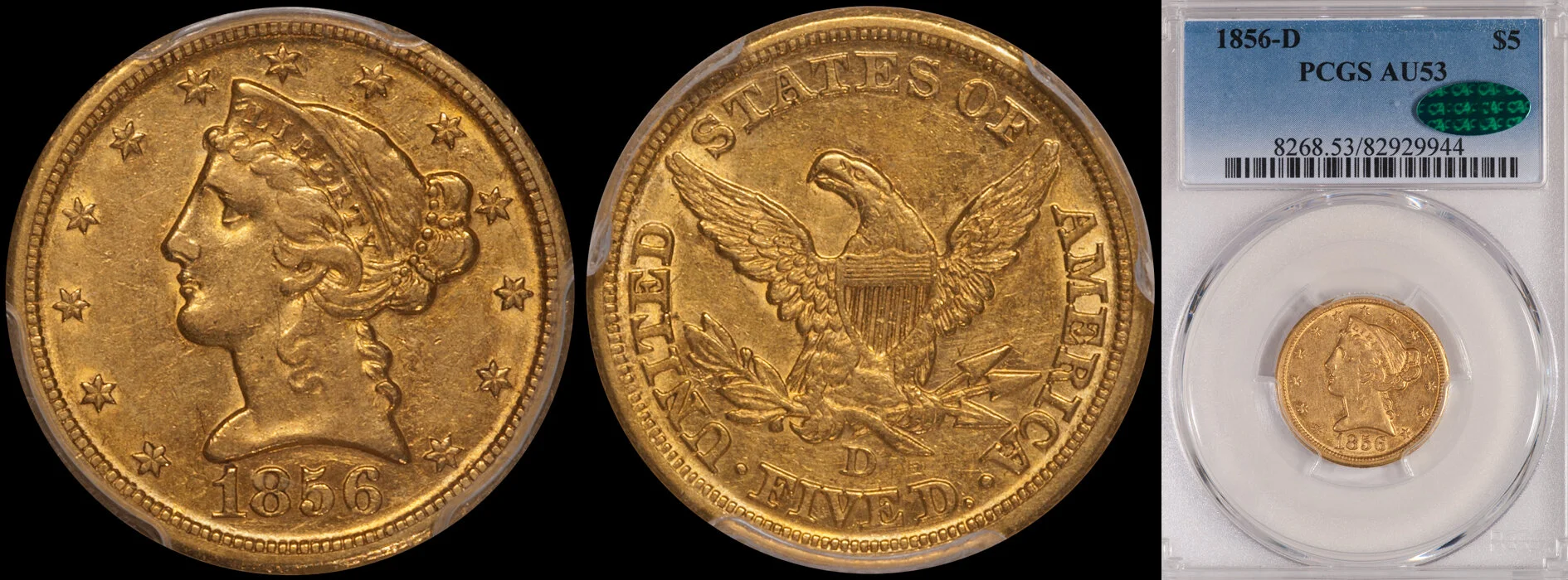 1856d_5_p53_cac.jpg