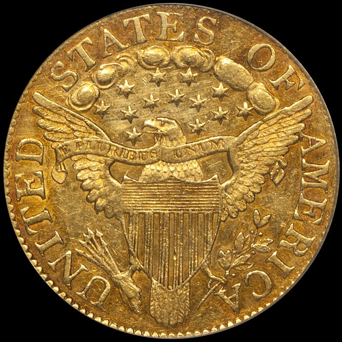 1805_5_P55_CAC_r.jpg