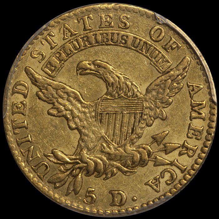 1813_5_P53_R.jpg