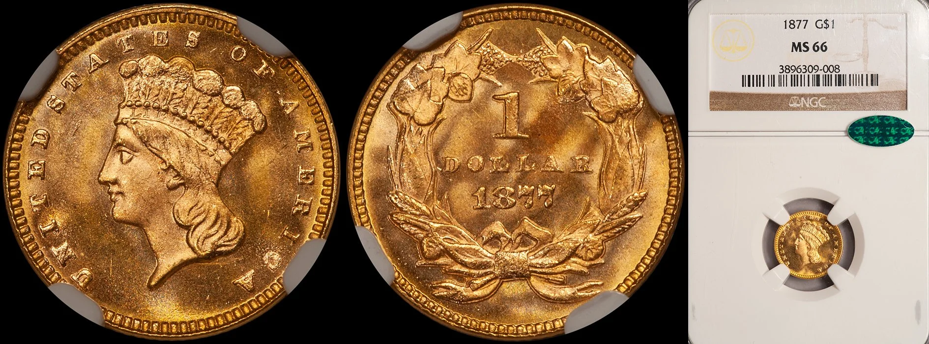 JUST ADDED - $1.00 - 1877 NGC MS66 CAC