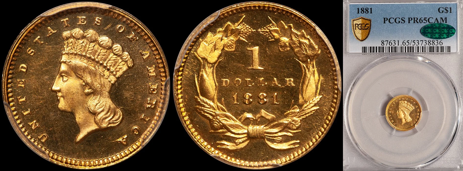 JUST ADDED - $1.00 - 1881 PCGS PR65CAM CAC