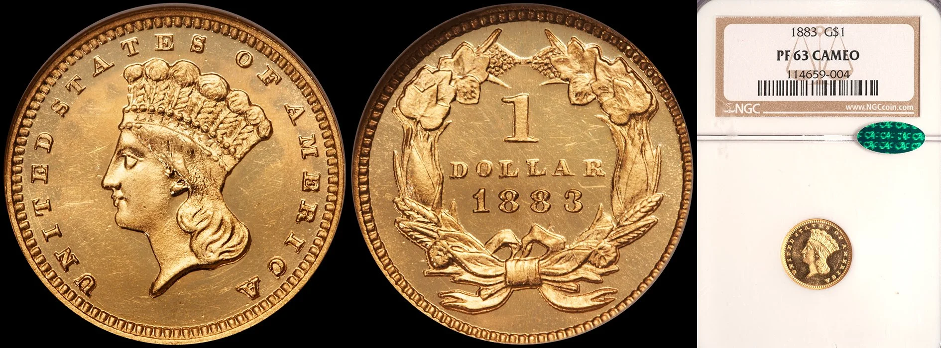 Gold Dollar. 183 $1 gold coin. NGC PR63CAM CAC.