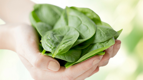 BeefSpinachRicotta.png