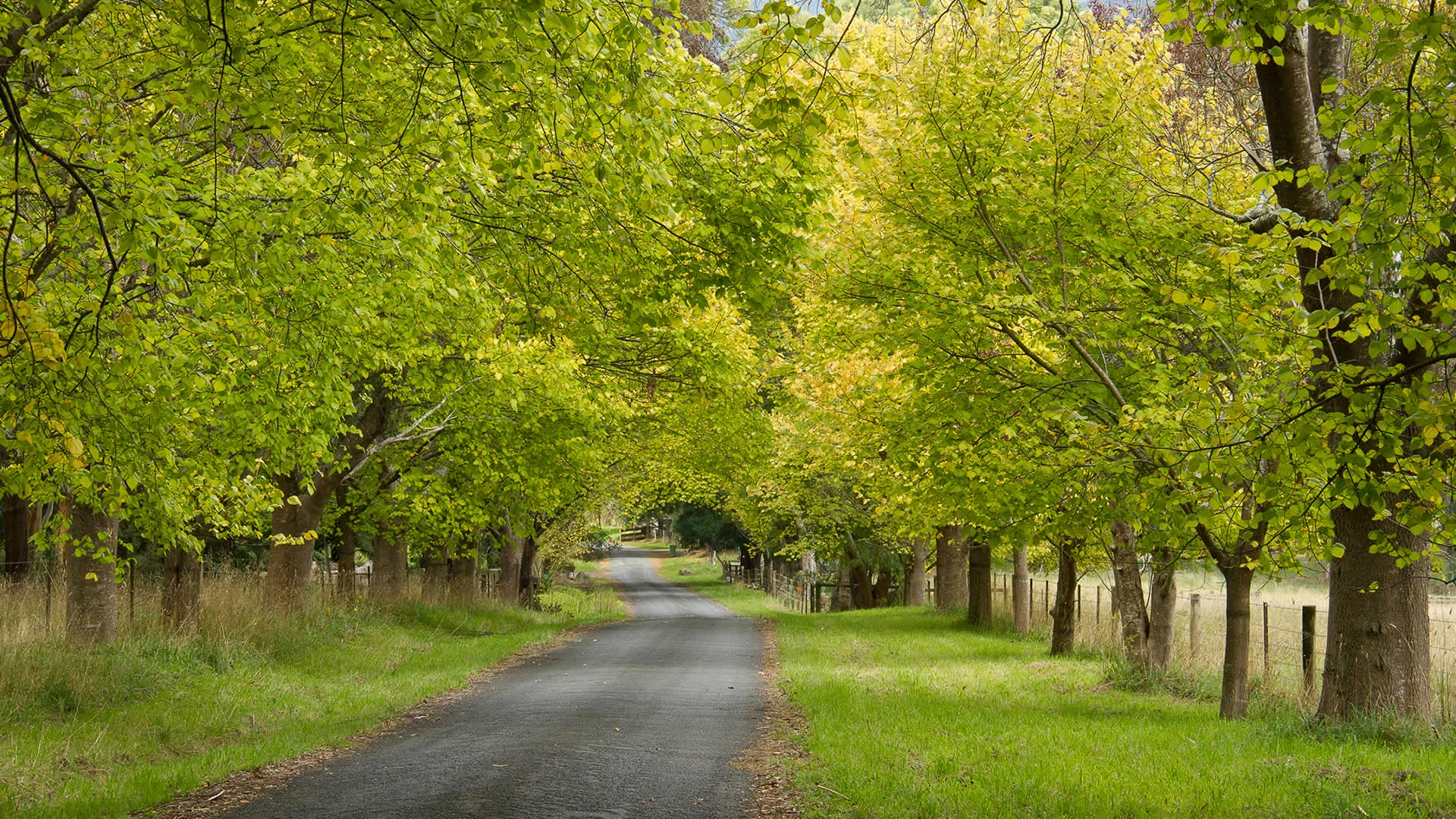 'Come Away by Yourselves' - Our Annual Retreat