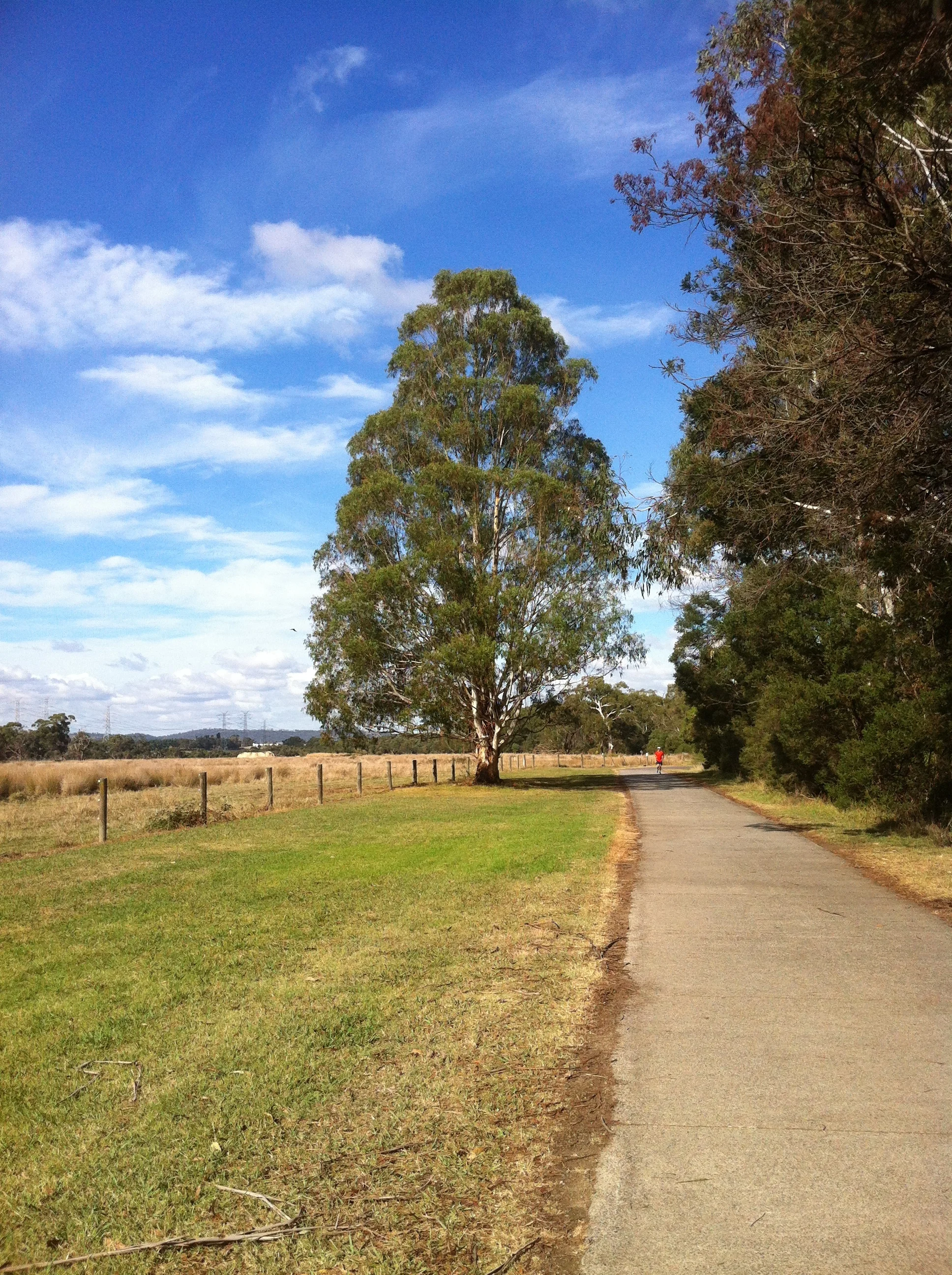 The seminarians enjoyed many prayerful walks while on Retreat. Picture: Jackson Saunders