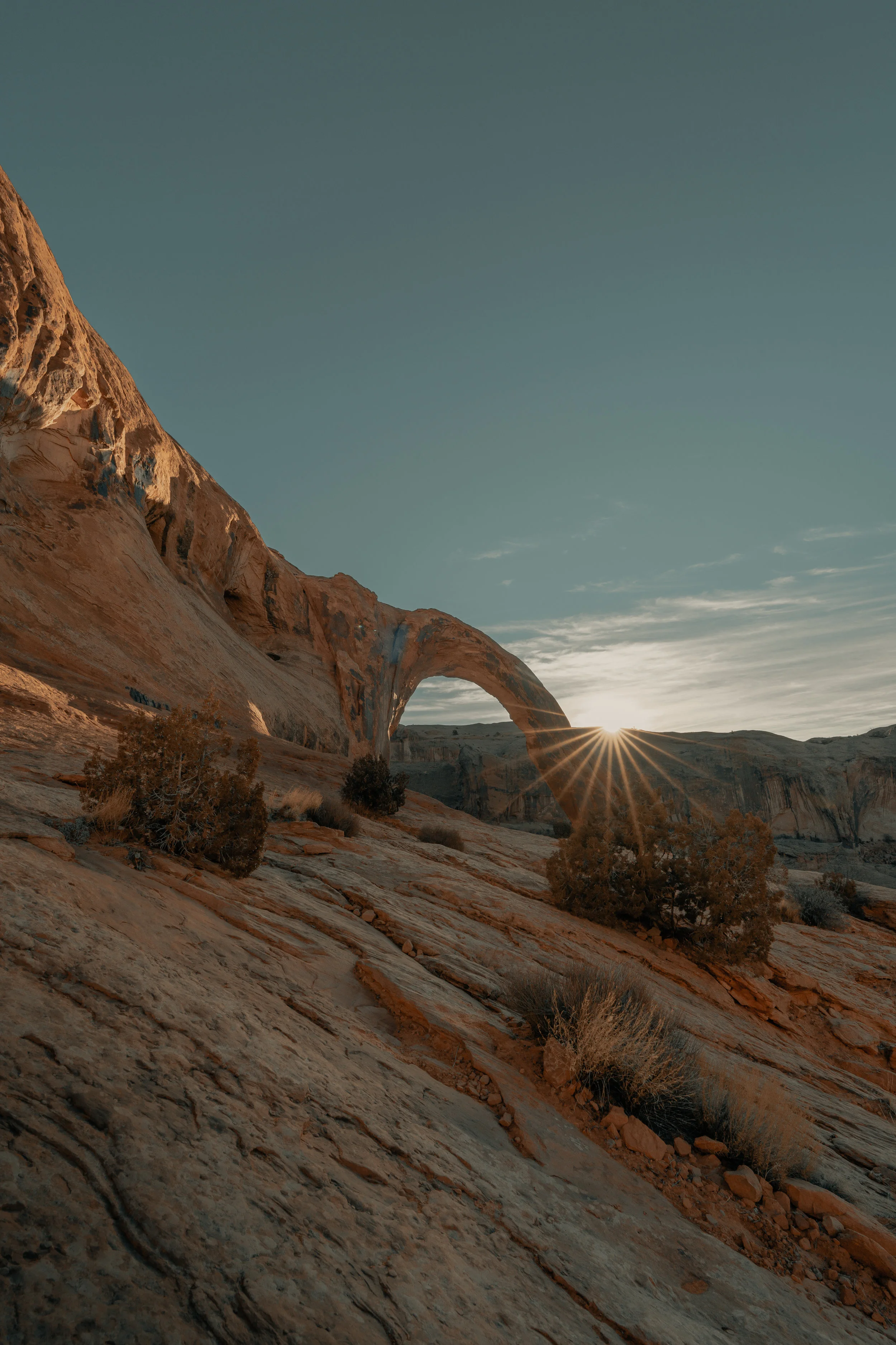 FIRST SUNDAY OF LENT