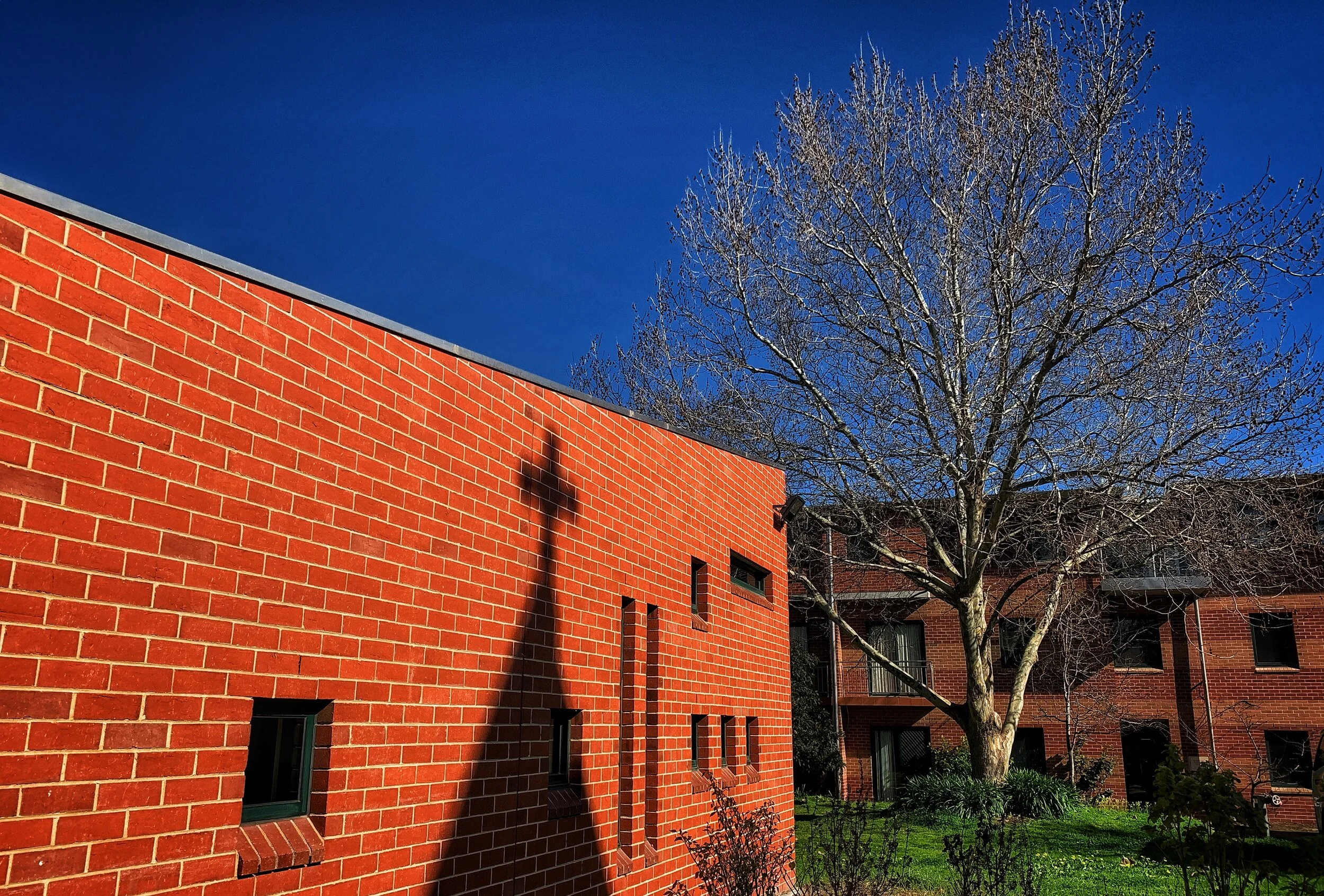 Seminary Life amidst COVID-19