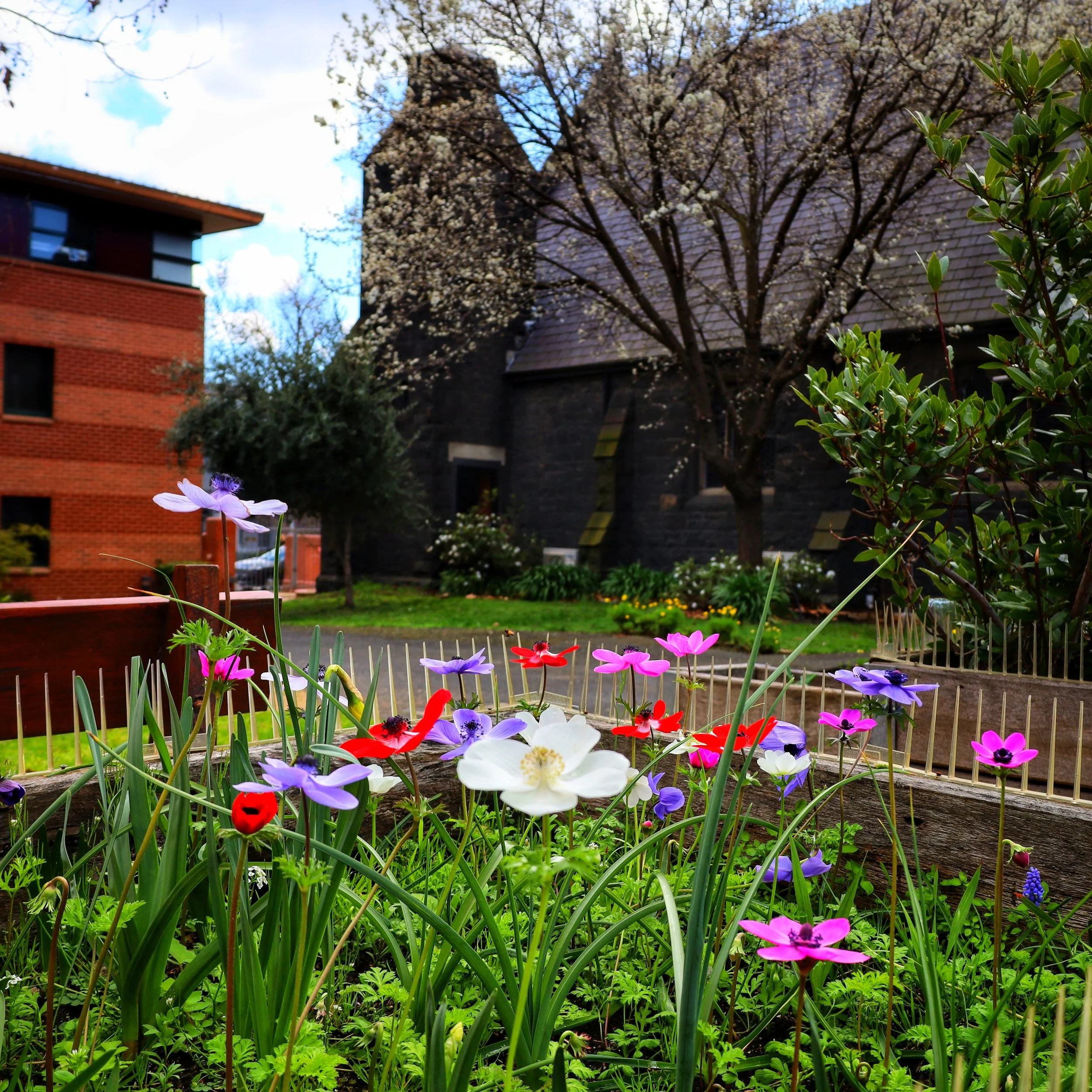 A Springtime of Faith