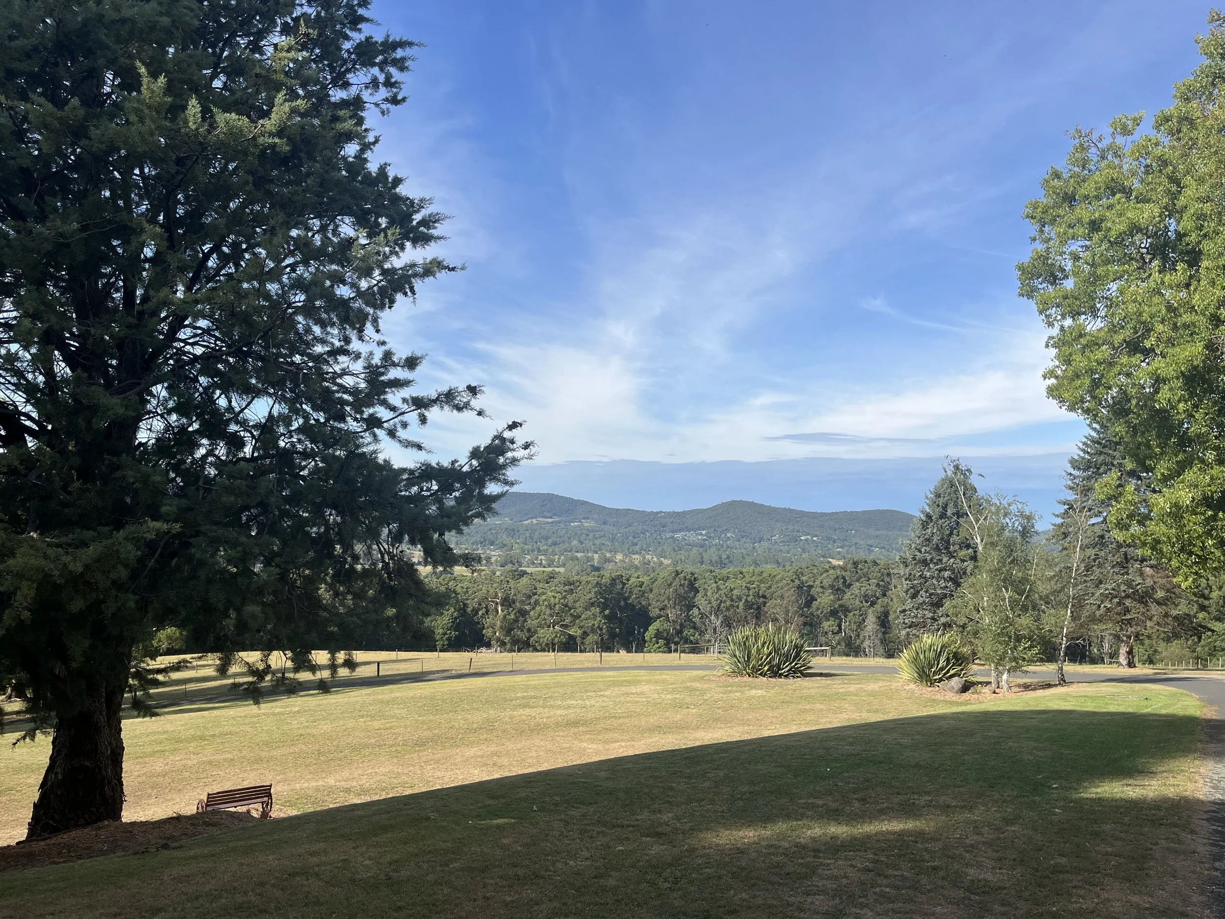 Celibacy: A Call to Communion