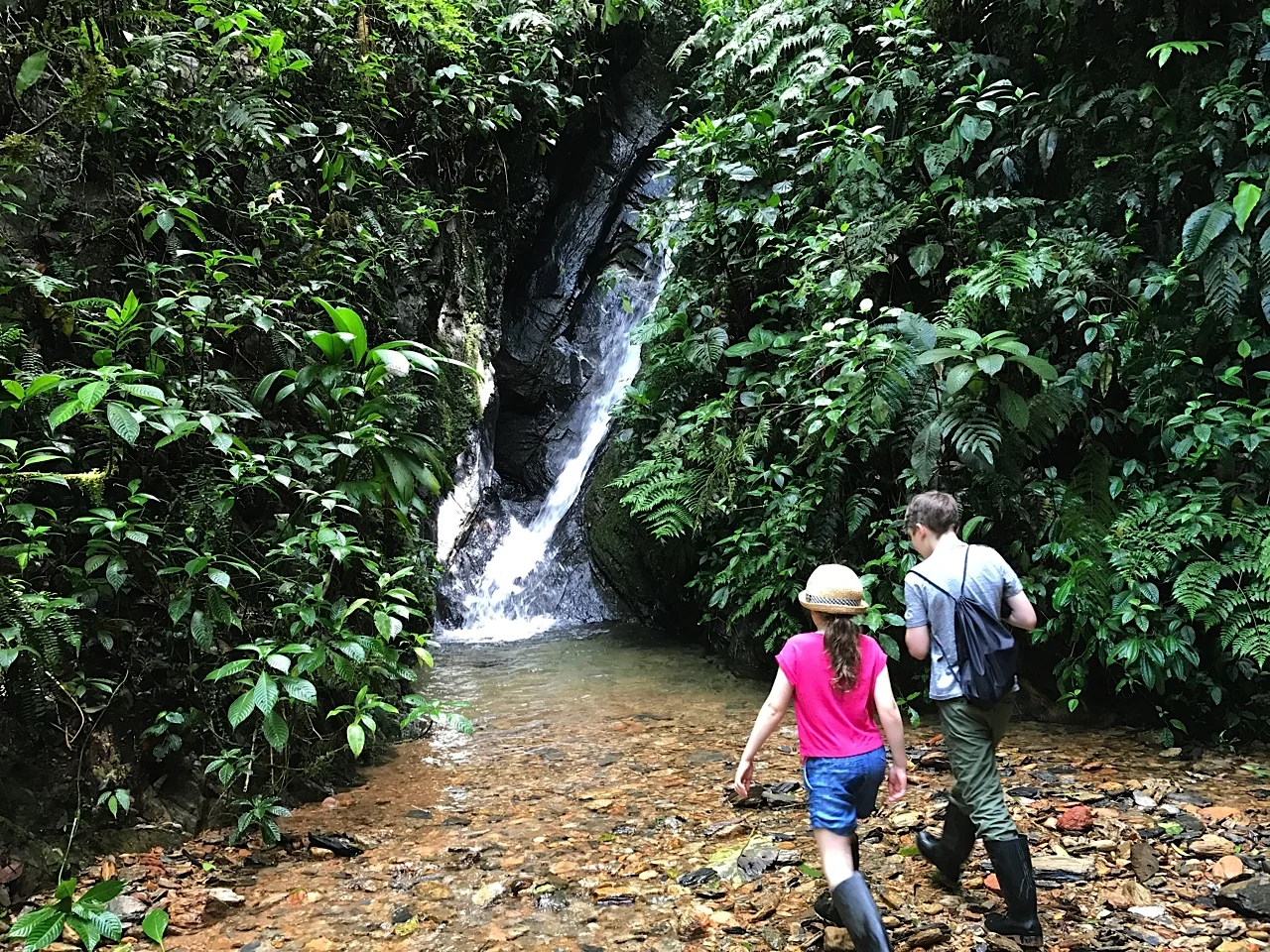 Discovering the Cloud Forest, Mashpi Lodge