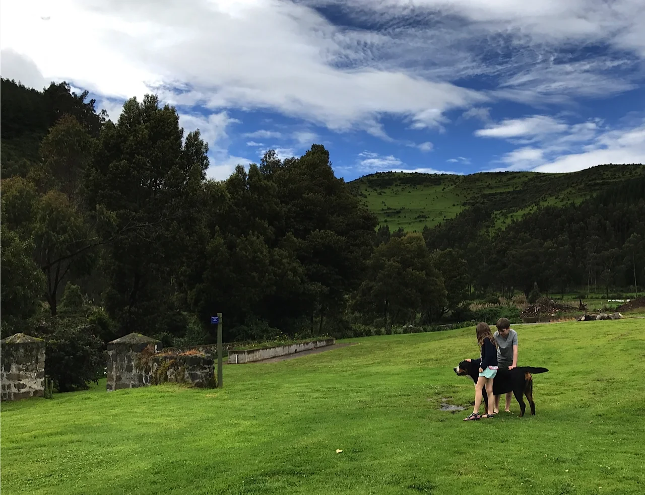 Canine companion "Mambo" - perfect guide for exploring the grounds at Hacienda Zuleta