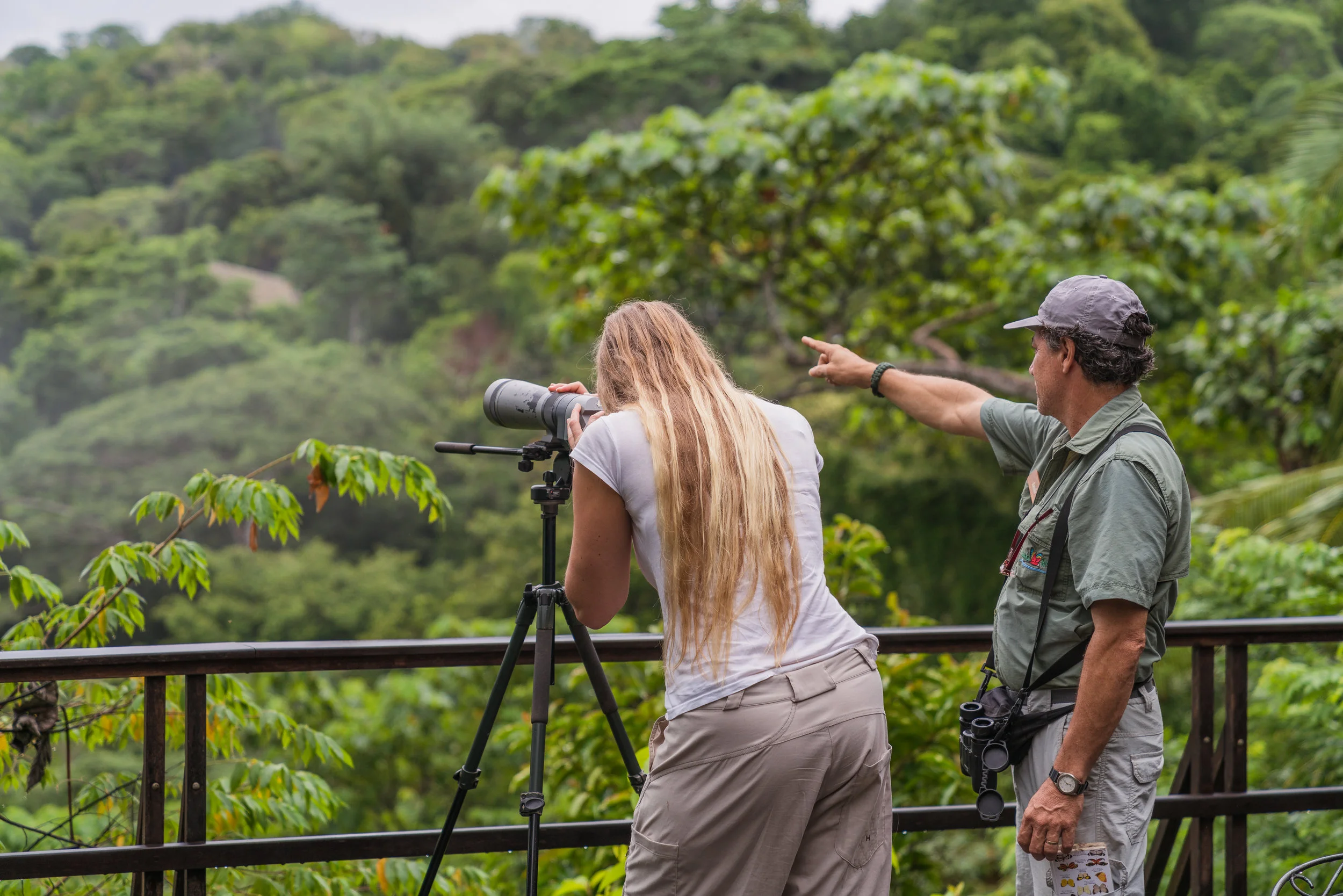 Birdwatching from Brisa Azul terrace.jpg