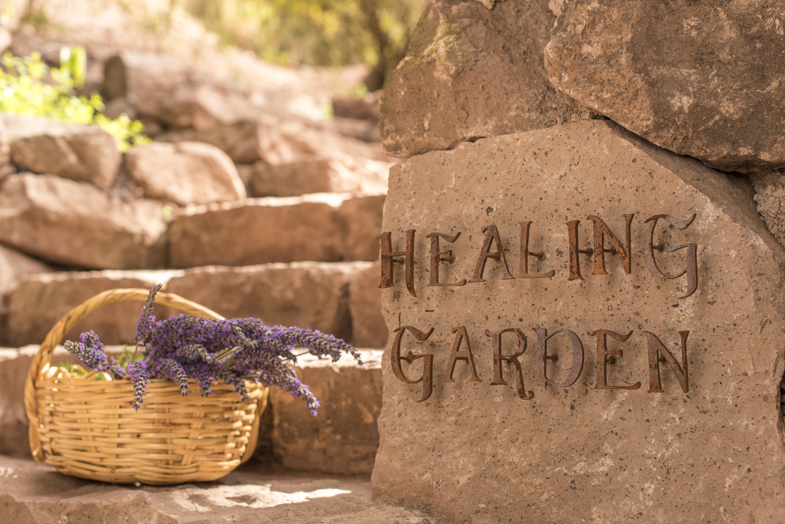 HEALING_GARDEN_NOMBRE_Img51071544479614.zip.jpg