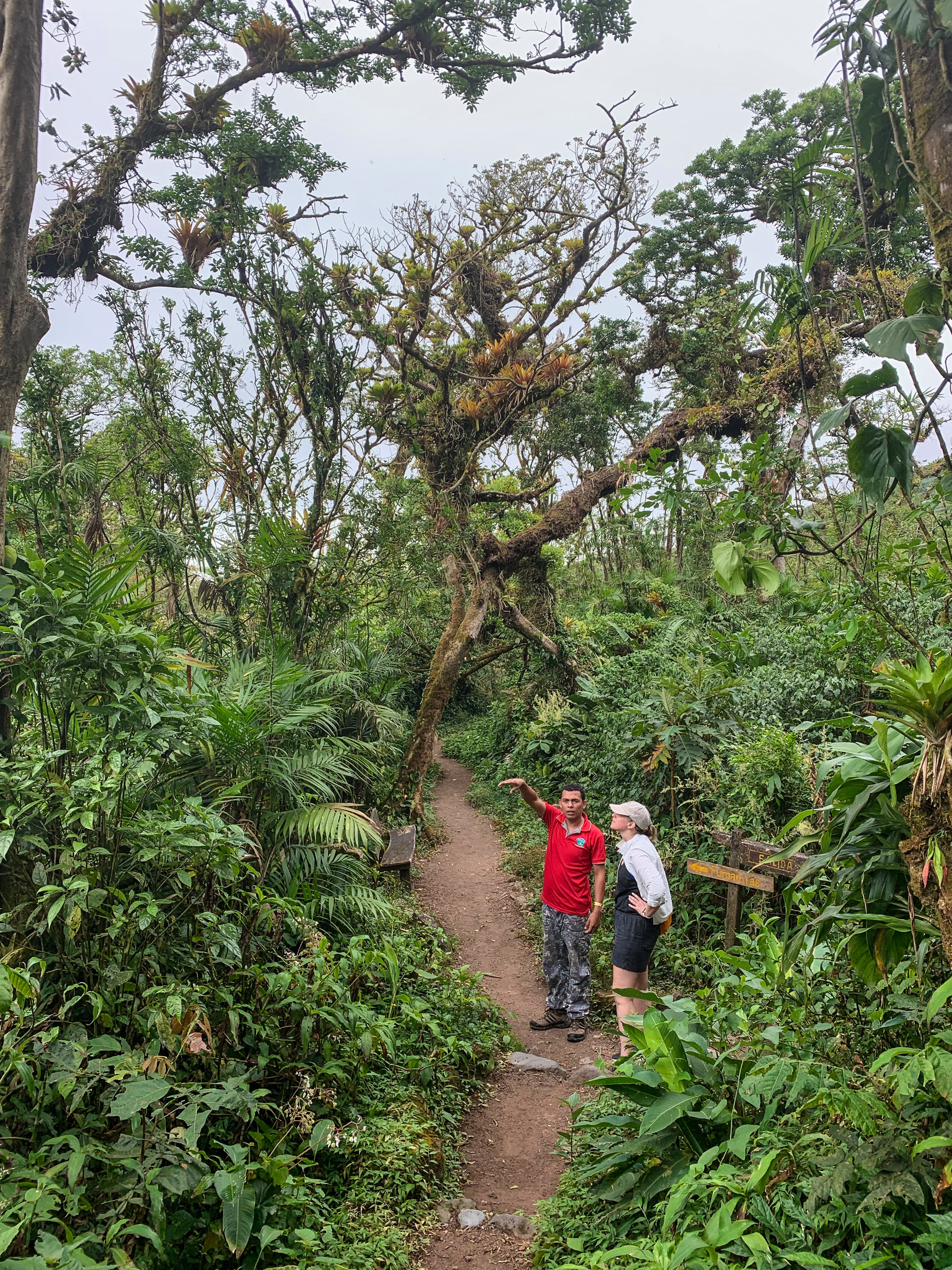 Exploring the cloud forests atop Mombacho Volcano