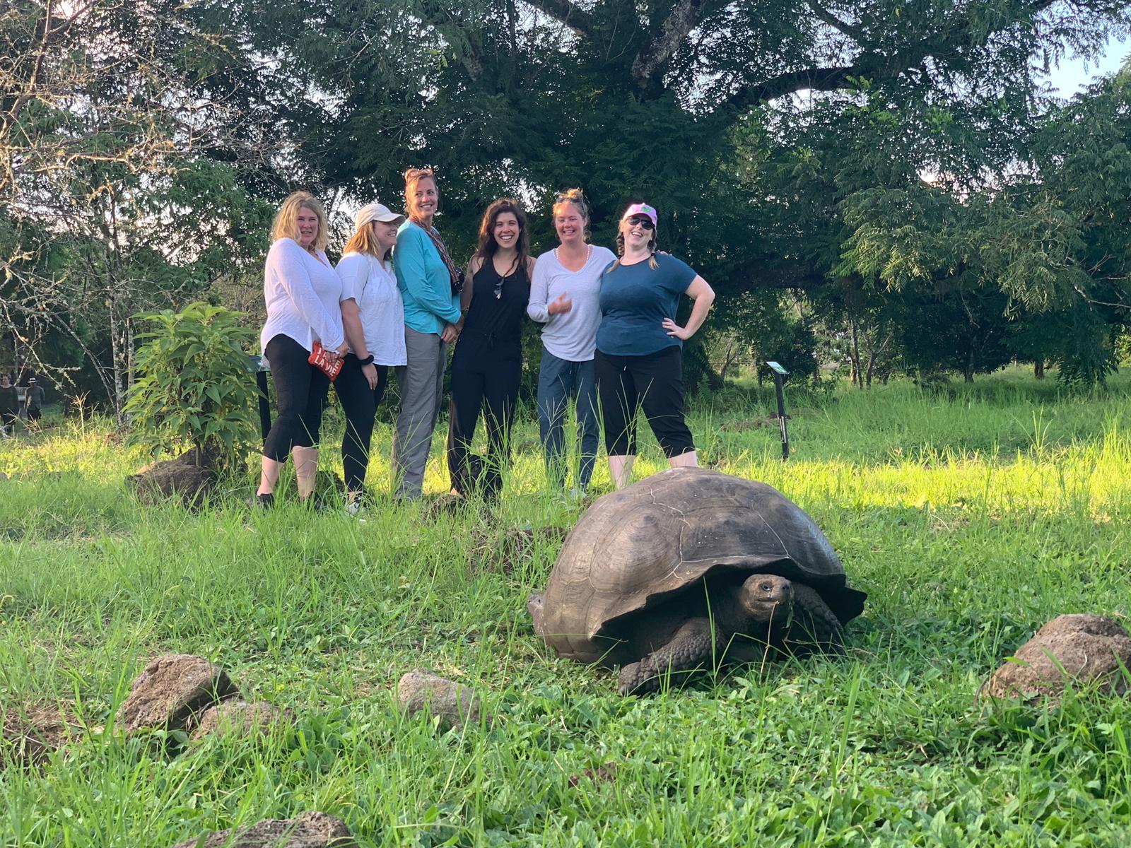 Giant Galapagos Tortoise