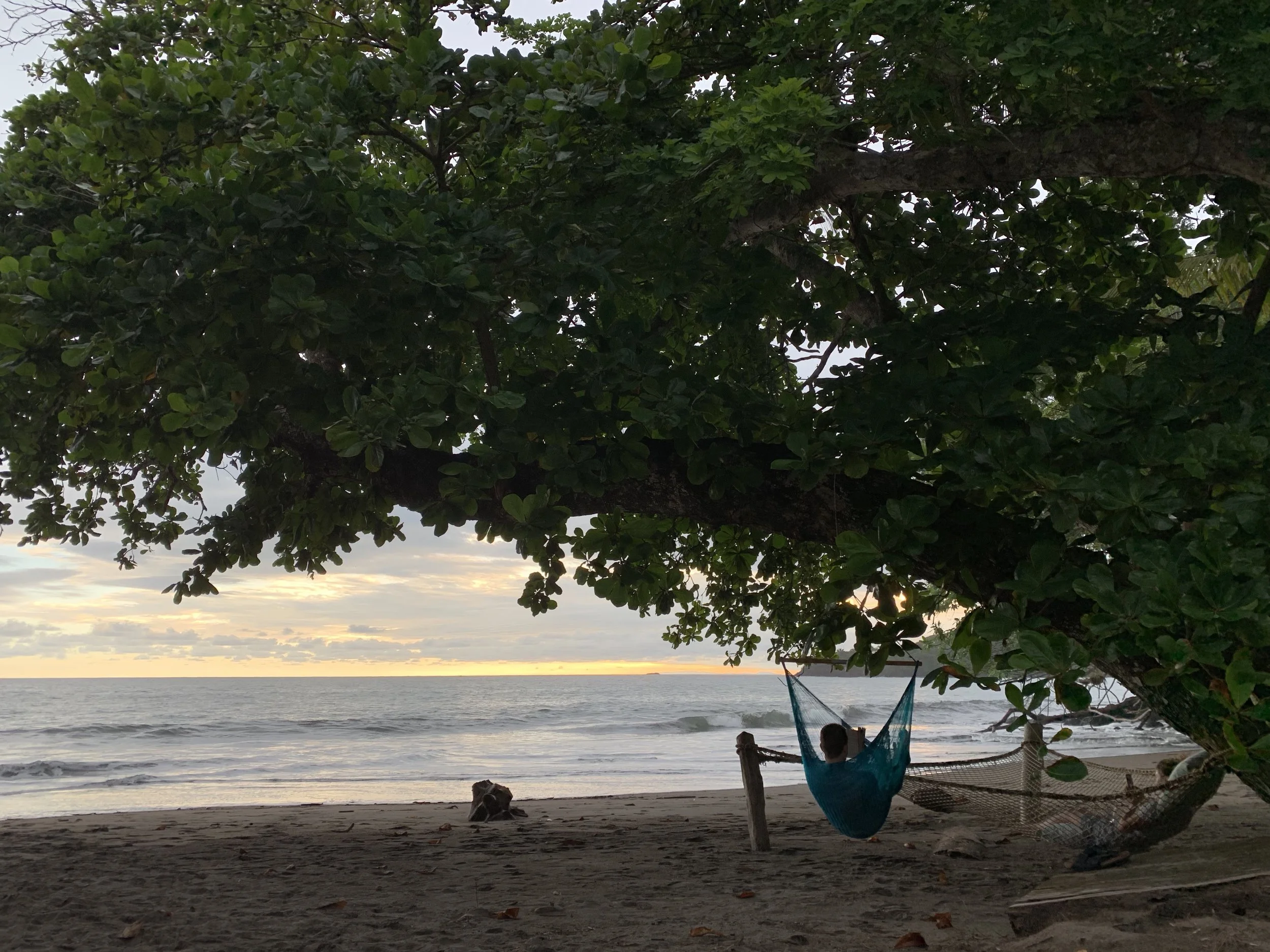 Isla Palenque