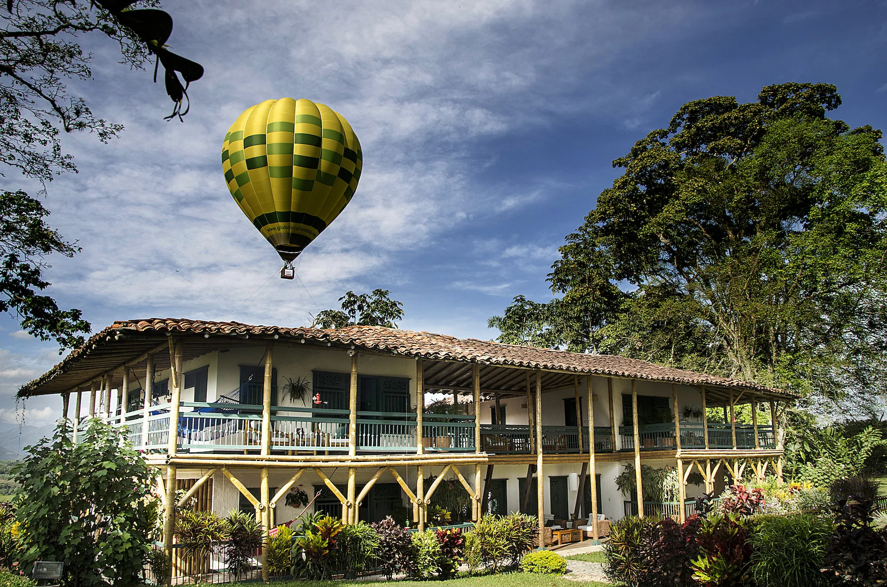 Hacienda Bambusa (Copy)
