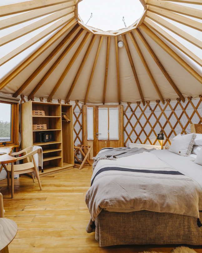 Introducing Patagonia Camp Carousel.png