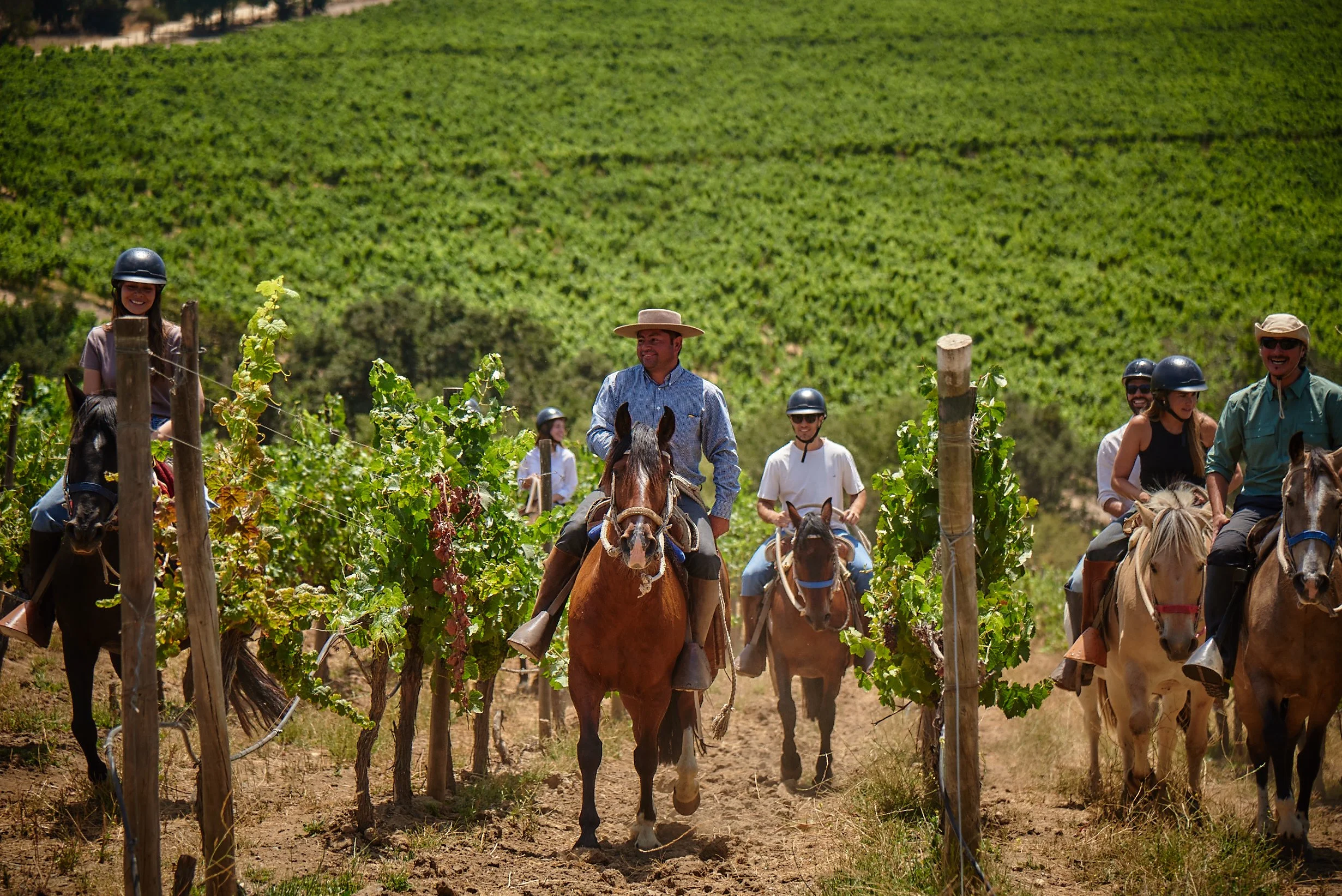Cabalgata 7.jpg