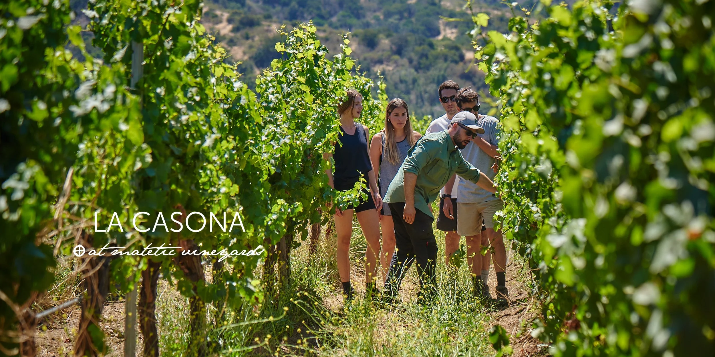 La-Casona-at-Matetic-Vineyards-Web-Banner_2.jpg
