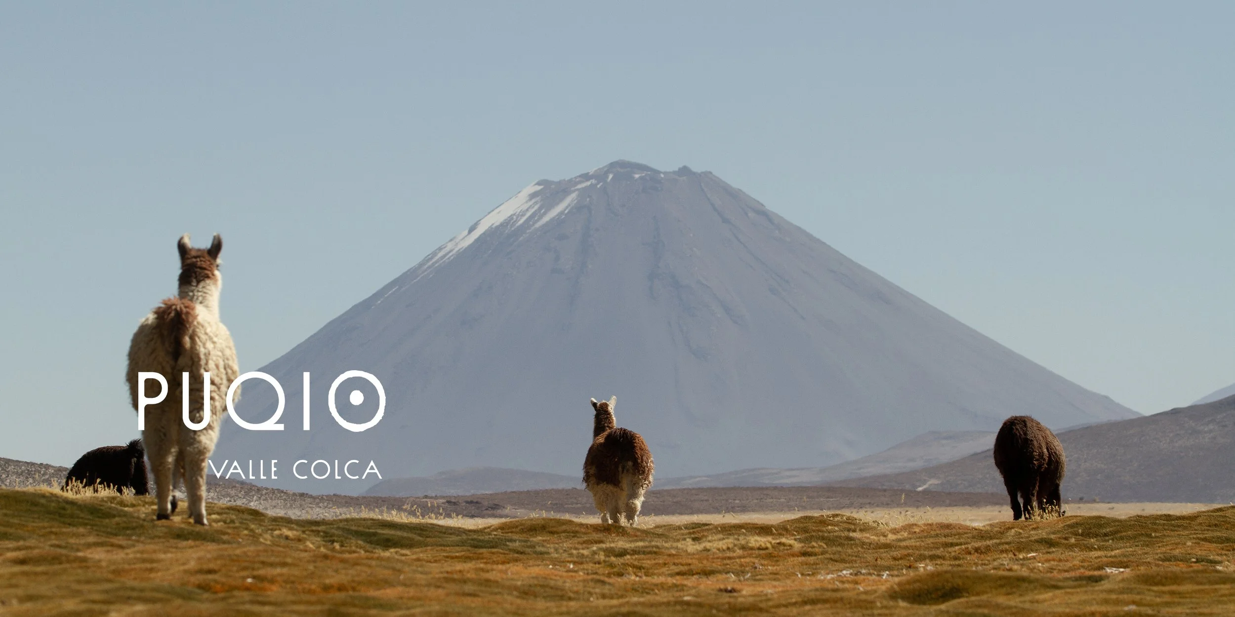 PUQIO-New-Banner-Images-2026_3.jpg