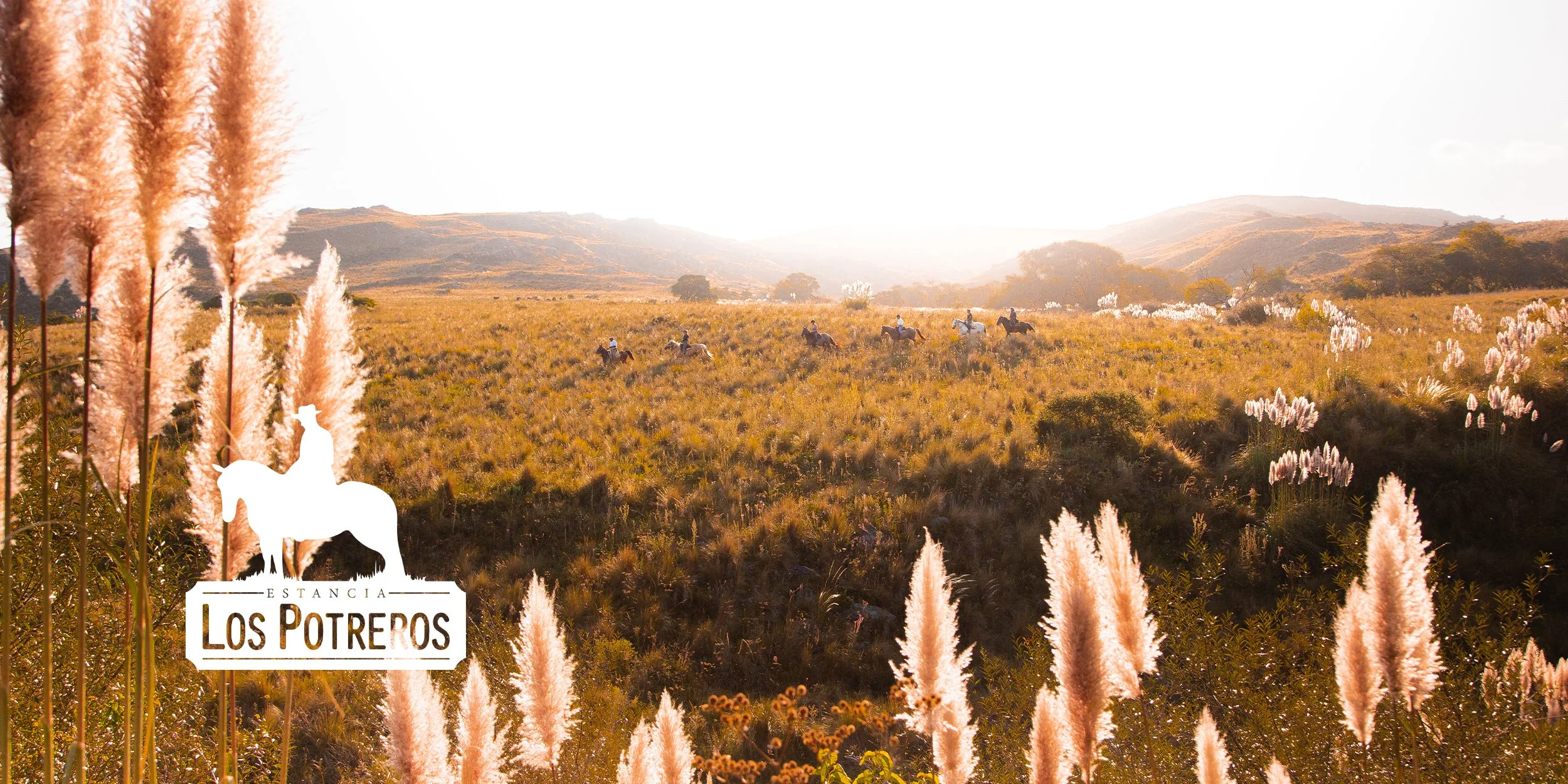 Estancia-Los-Potreros-Web-Banners_8.jpg