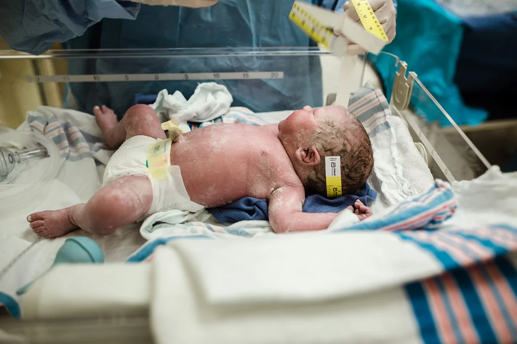 Hudson_Birth23.jpg