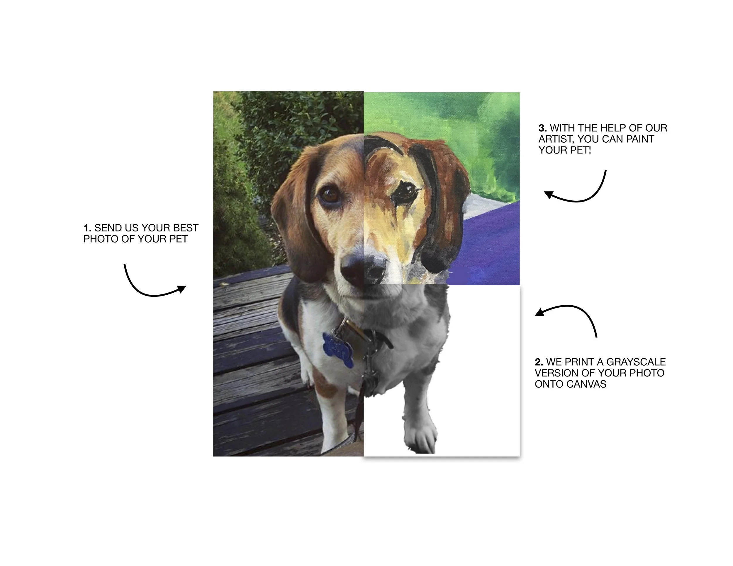 pet_portrait.jpg