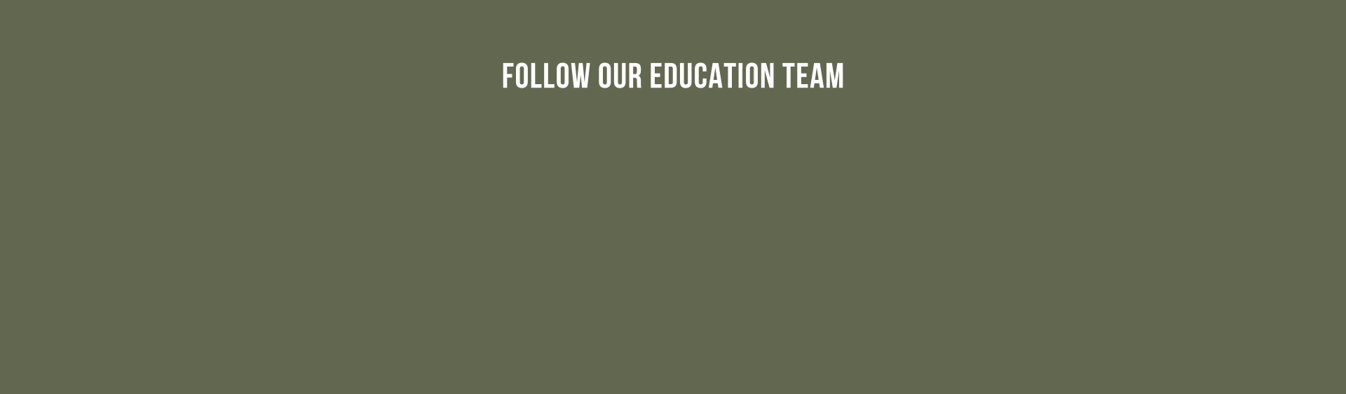 Education-Team_Video_2.gif