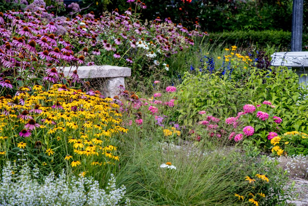 native-garden.jpg