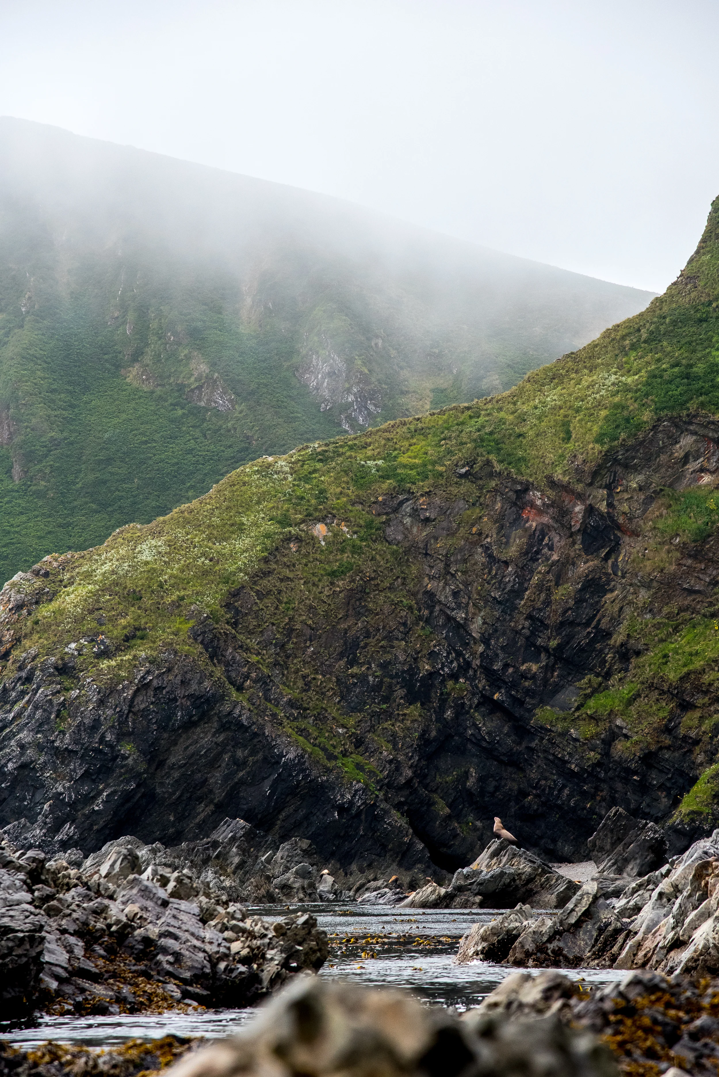 Triangle-Island-263.jpg