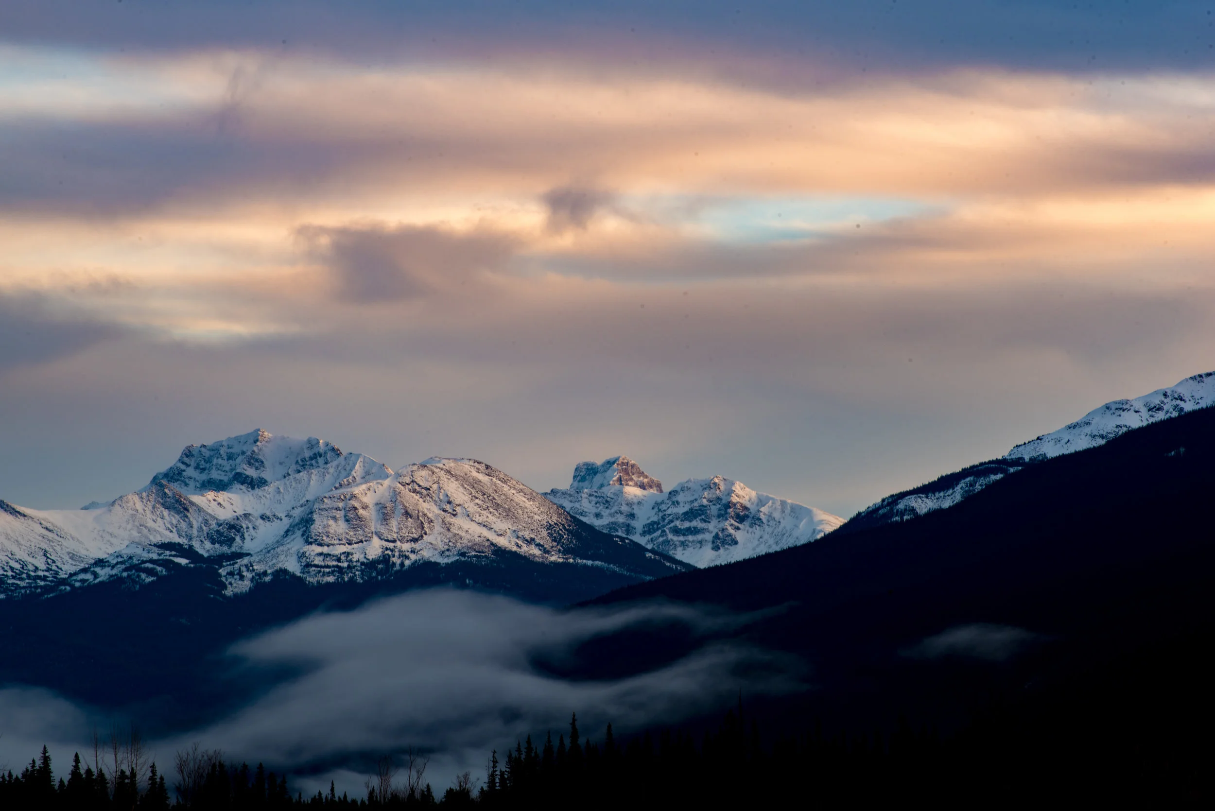 Nov-12-Jasper-57.jpg