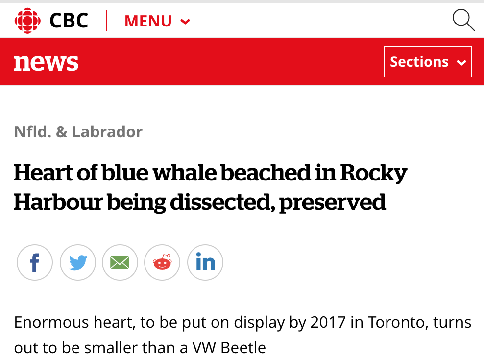 Screen Shot 2019-07-07 at 8.59.21 PM.png