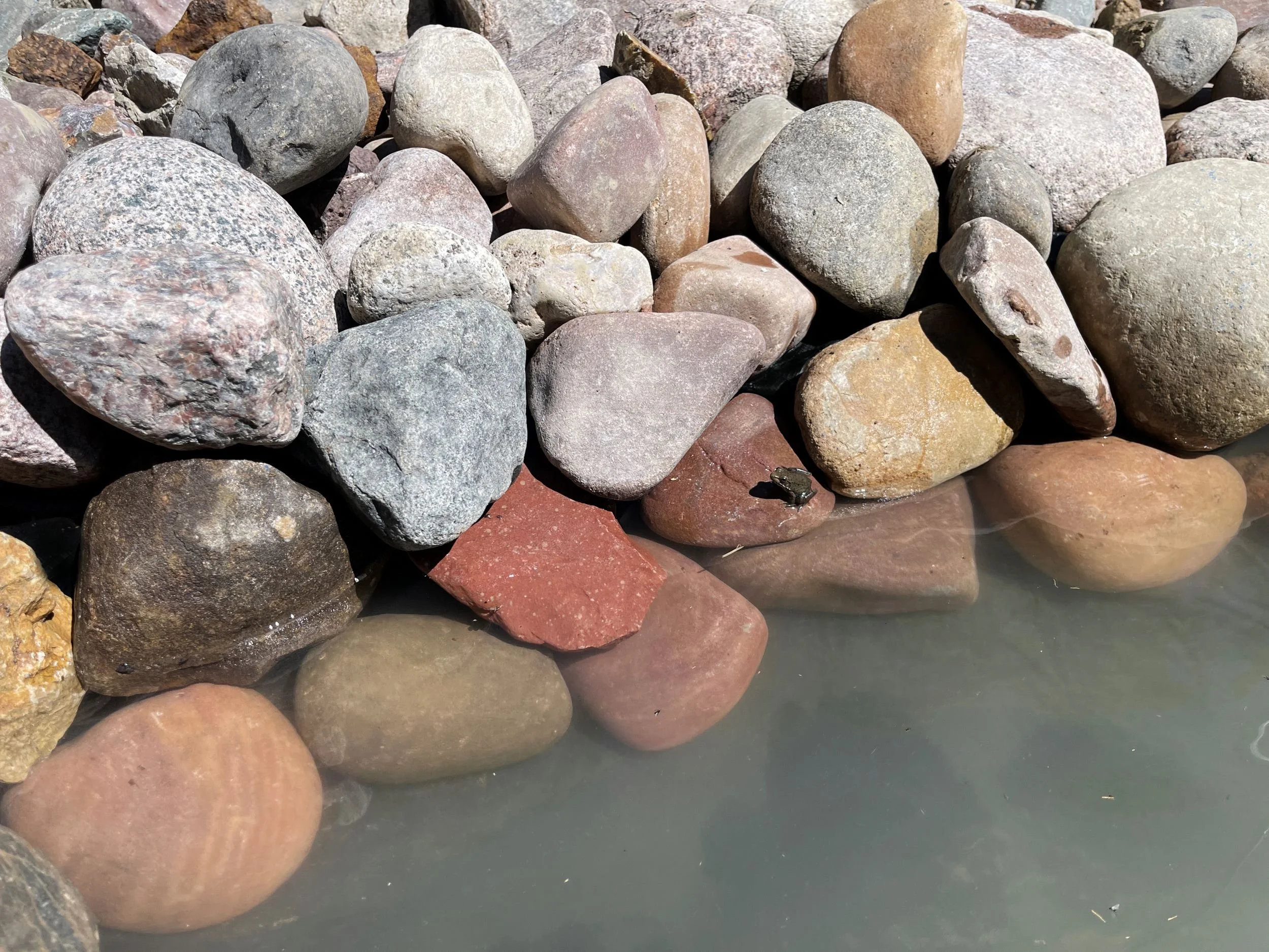 H2Oh! - Image 11 sm.JPG